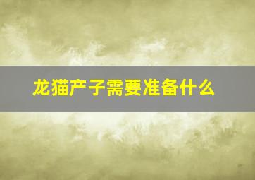 龙猫产子需要准备什么