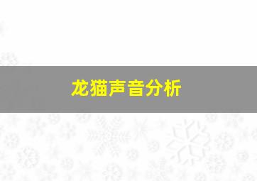 龙猫声音分析