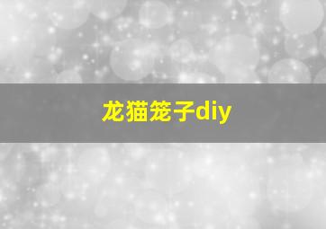 龙猫笼子diy