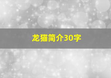 龙猫简介30字